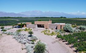 Casa Crux - Bodega Alfa Crux