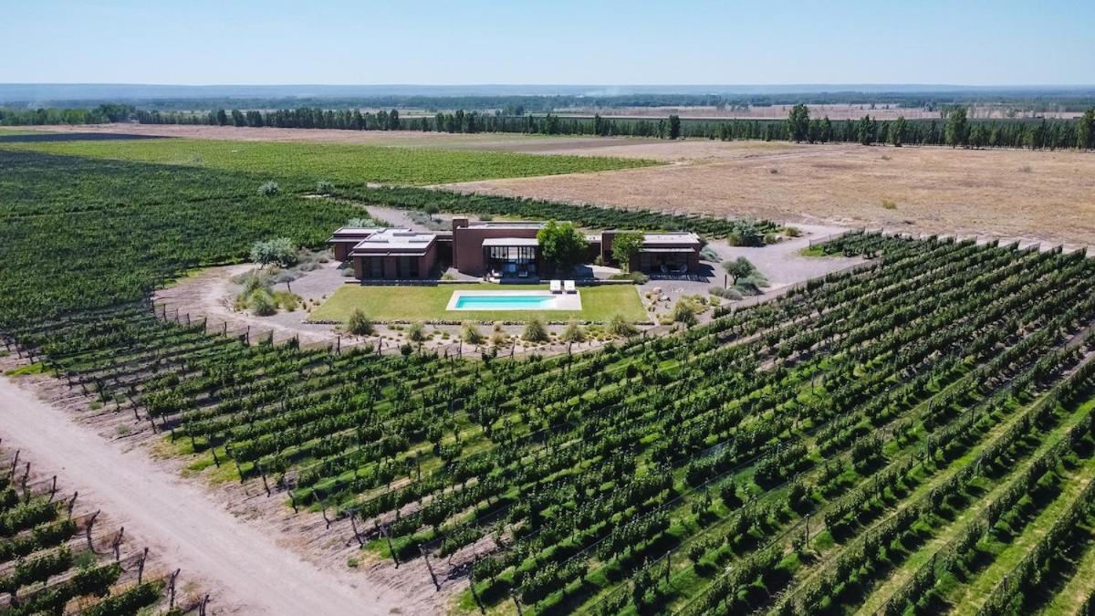 Casa Crux - Bodega Alfa Crux Eugenio Bustos Exterior foto